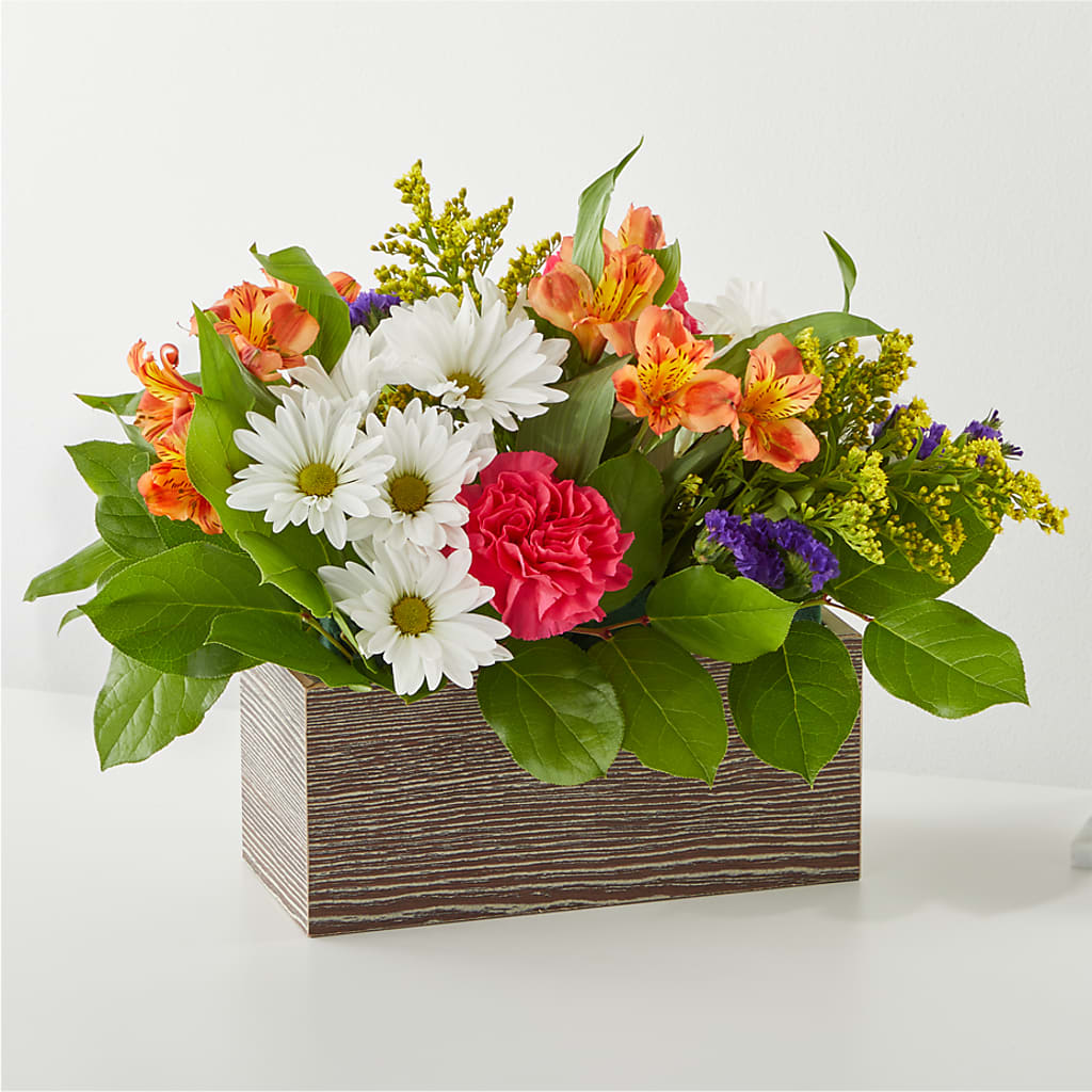 Oopsie Daisy Box Bouquet – SCOTT'S FLOWERS, Amarillo TX