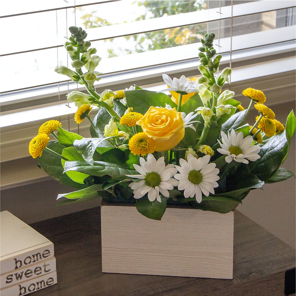 Sun Salutation Box Bouquet – SCOTT'S FLOWERS, Amarillo TX