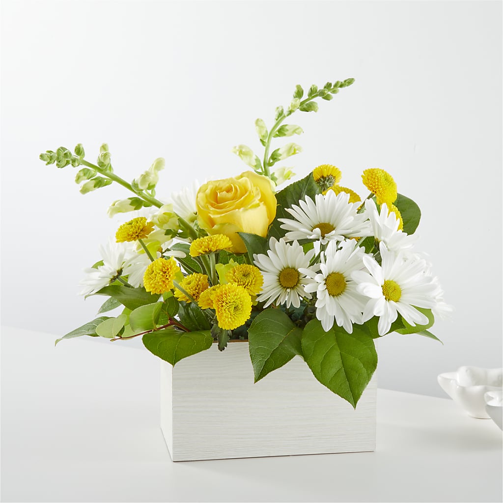 Sun Salutation Box Bouquet – SCOTT'S FLOWERS, Amarillo TX