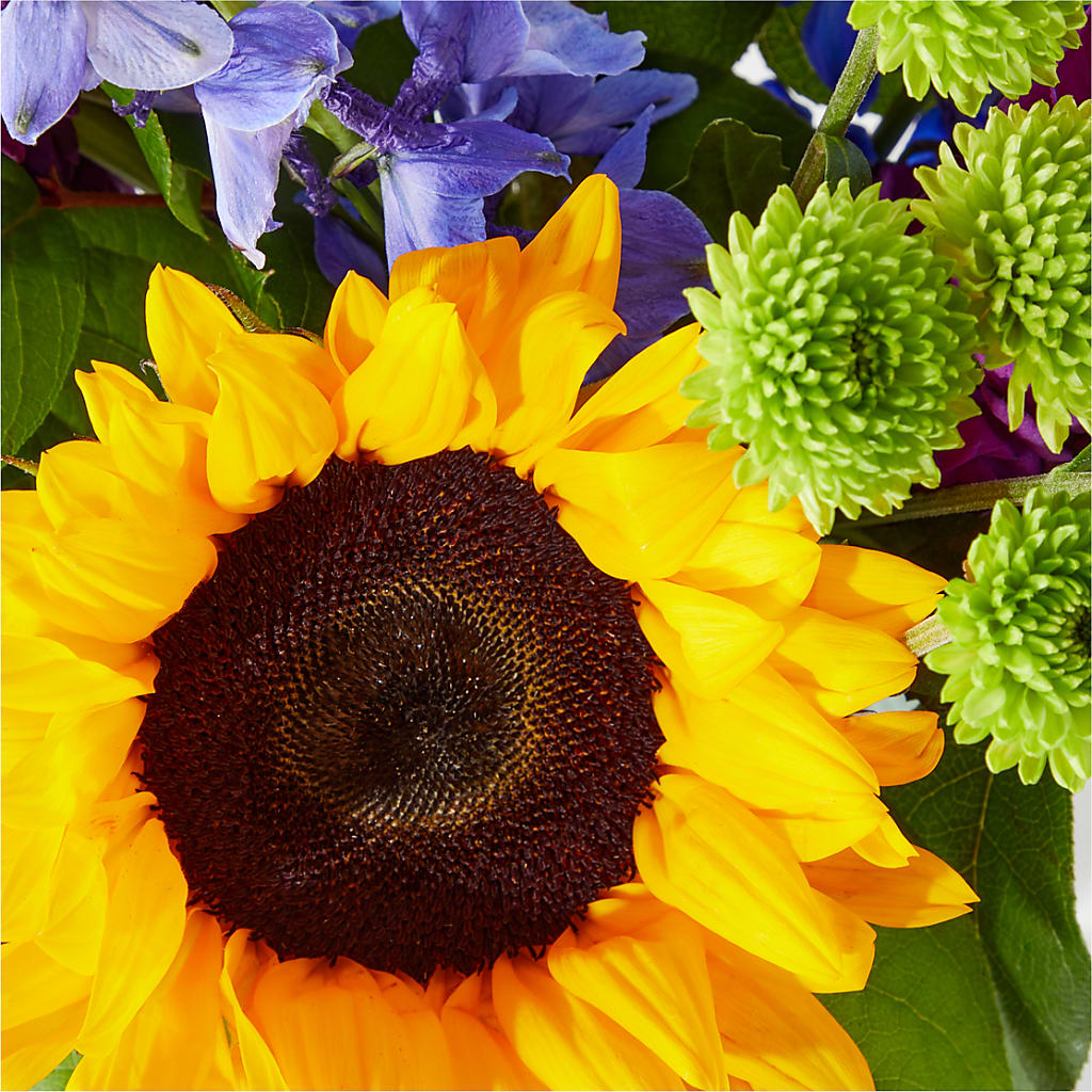 Catching Rays Bouquet – SCOTT'S FLOWERS, Amarillo TX