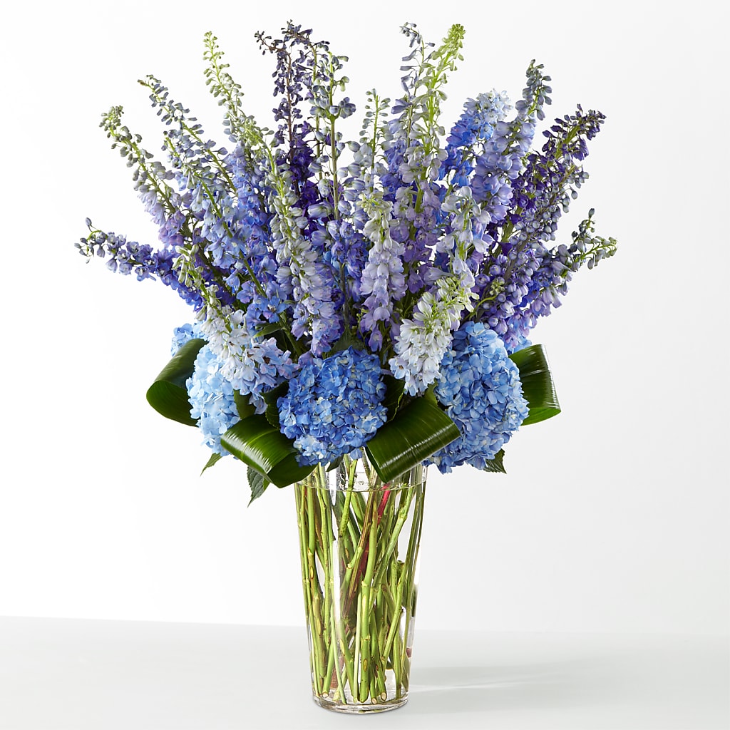 The Editorial – SCOTT'S FLOWERS, Amarillo TX