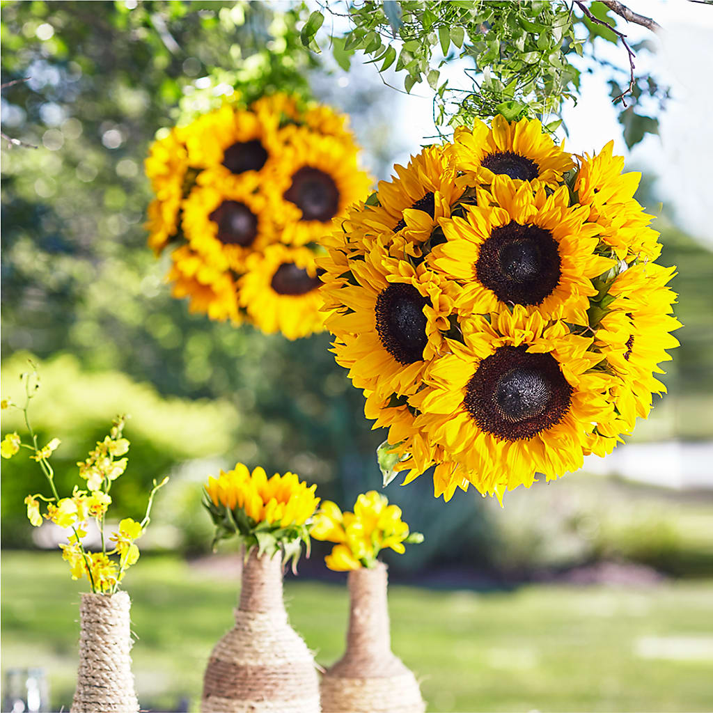 Sublime Garden Hanging Arrangement – SCOTT'S FLOWERS, Amarillo TX