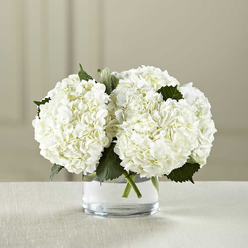 White Hydrangea Bouquet – SCOTT'S FLOWERS, Amarillo TX