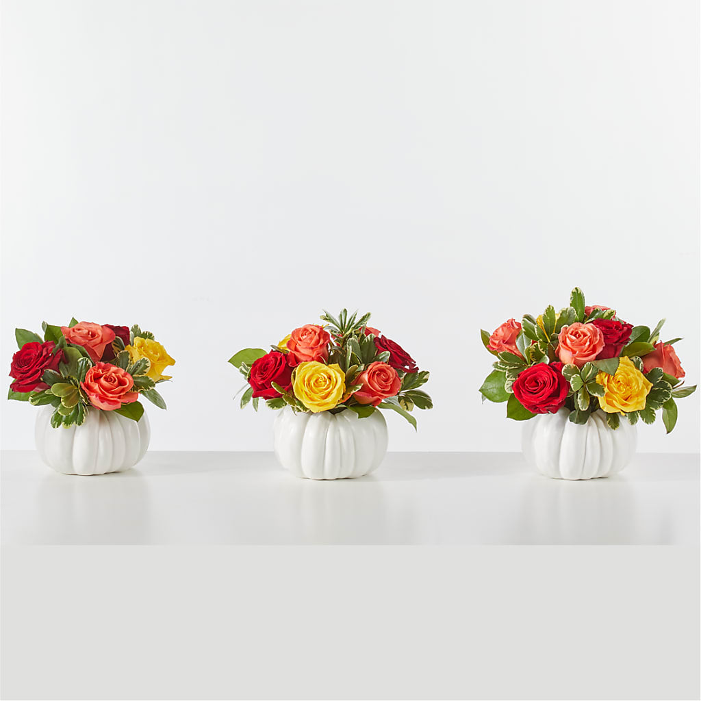 Gourd of Gratitude – SCOTT'S FLOWERS, Amarillo TX