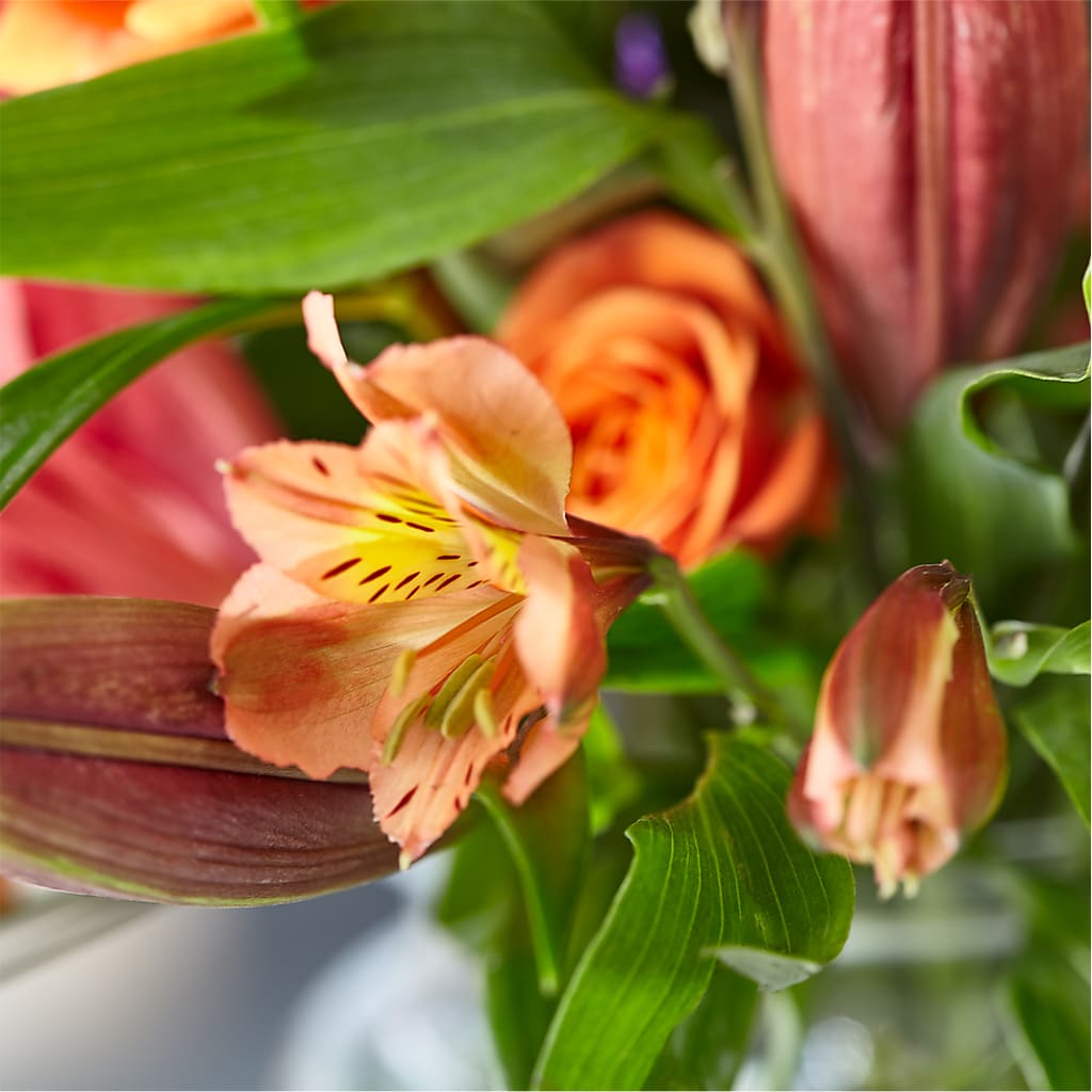 Bold & Bright – A Florist Original – SCOTT'S FLOWERS, Amarillo TX