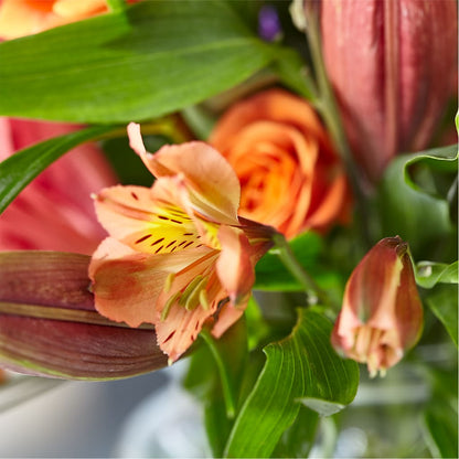 Bold & Bright – A Florist Original – SCOTT'S FLOWERS, Amarillo TX