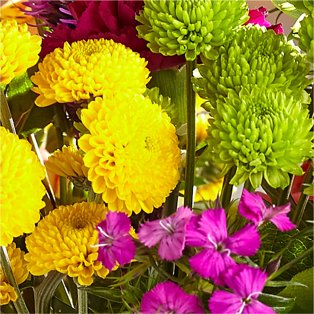 Bold & Bright – A Florist Original – SCOTT'S FLOWERS, Amarillo TX