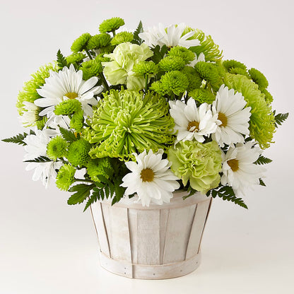 Lucky Charm Basket (Standard) – SCOTT'S FLOWERS, Amarillo TX