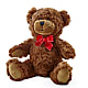 Adorable Plush Bear – SCOTT'S FLOWERS, Amarillo TX
