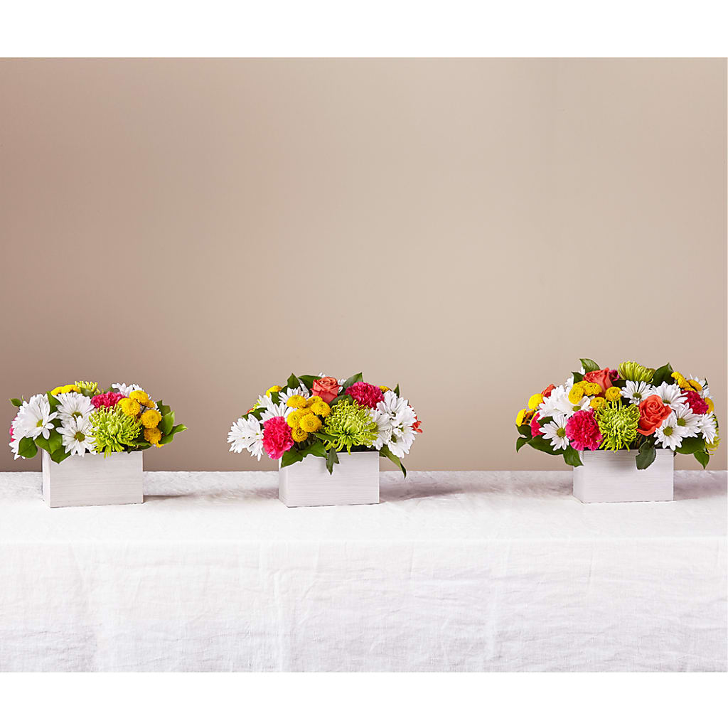 Sorbet Bouquet – SCOTT'S FLOWERS, Amarillo TX
