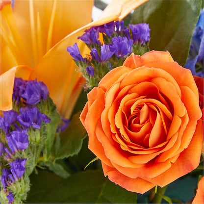 Radiant Citrus Box Bouquet – SCOTT'S FLOWERS, Amarillo TX