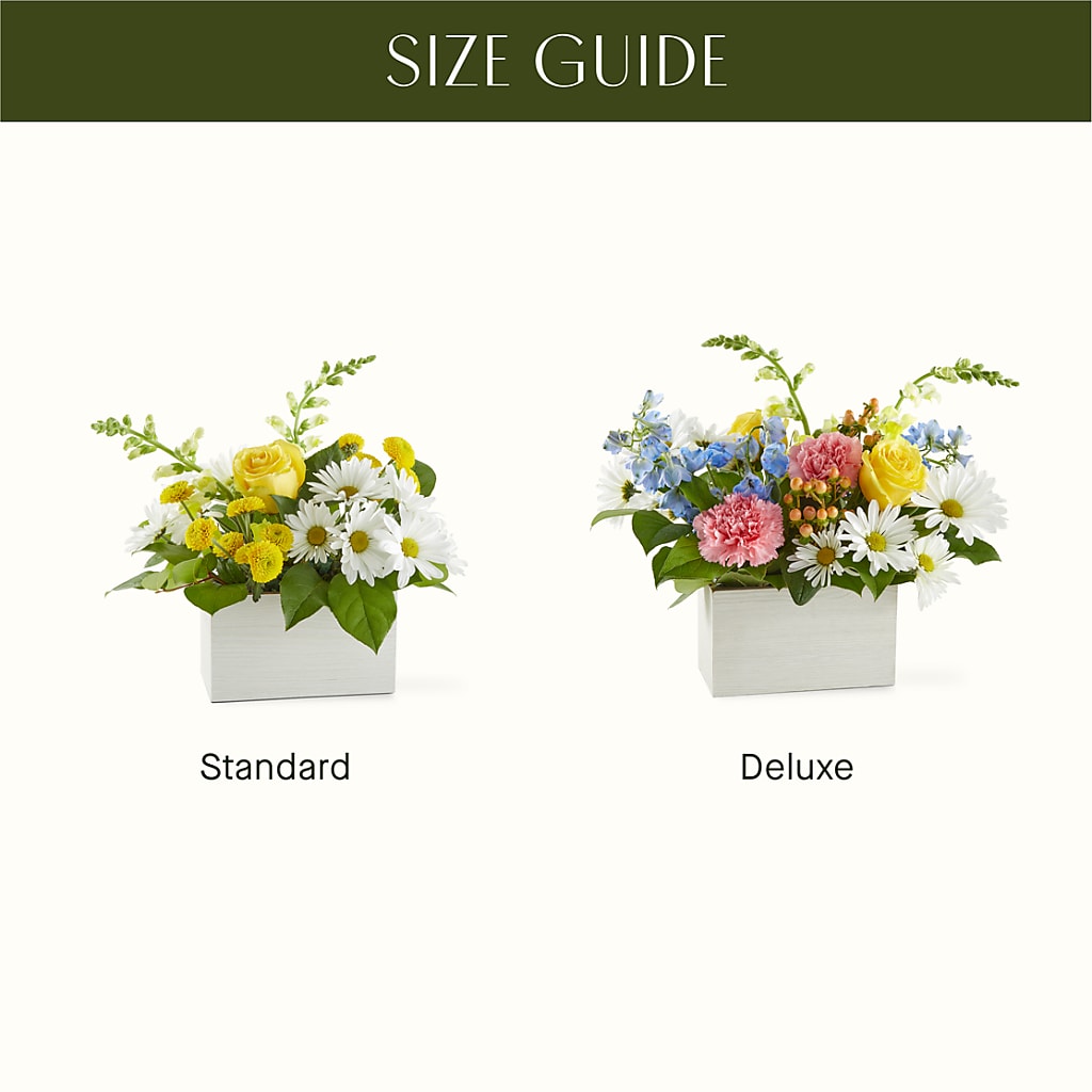 Sun Salutation Box Bouquet – SCOTT'S FLOWERS, Amarillo TX