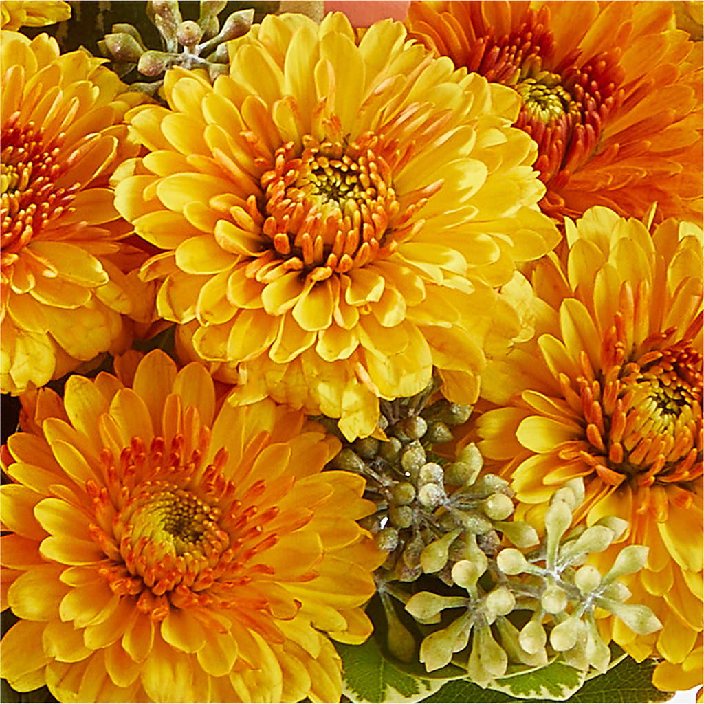 Peachy Pumpkin – SCOTT'S FLOWERS, Amarillo TX