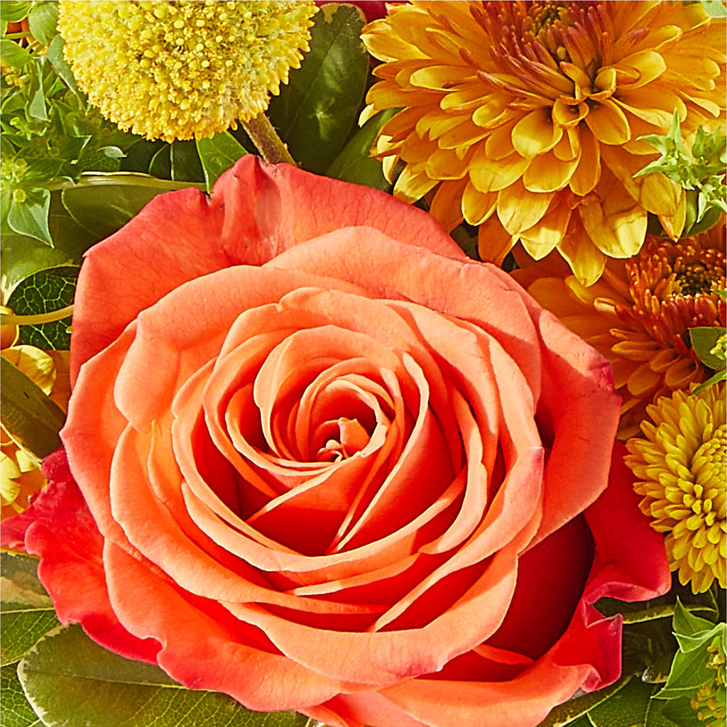 Gourdgeous Pumpkin – SCOTT'S FLOWERS, Amarillo TX