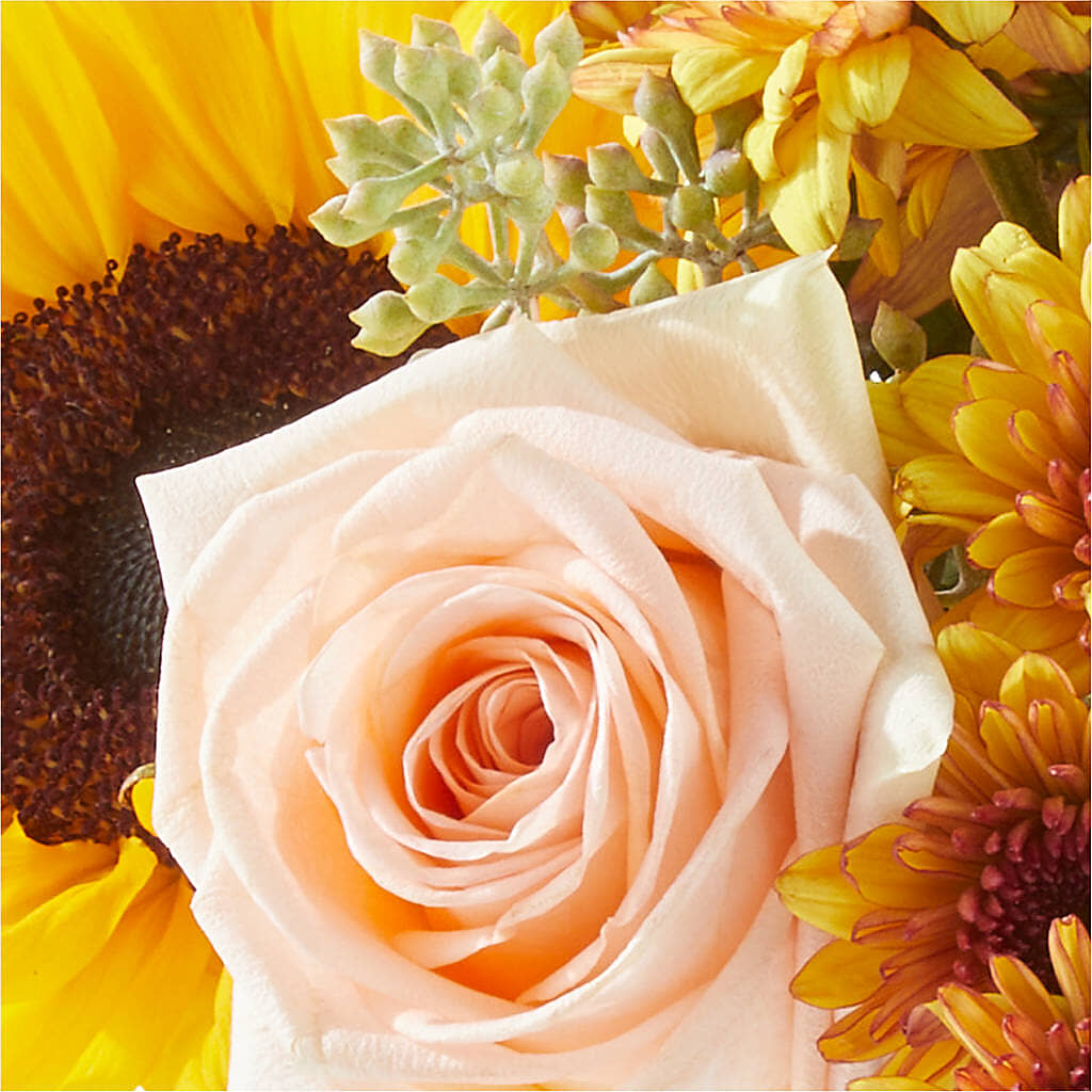 Pumpkin to Talk About Bouquet – SCOTT'S FLOWERS, Amarillo TX