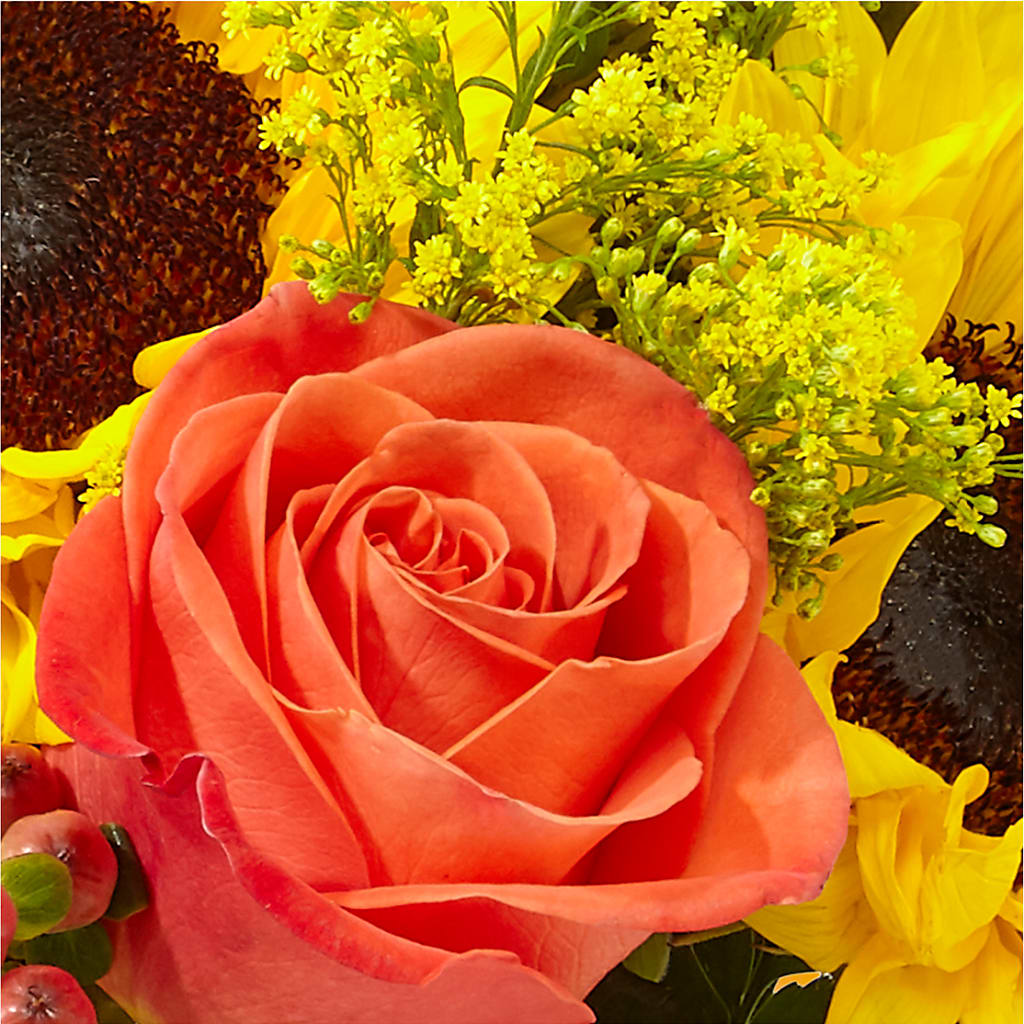 Pick of the Patch Pumpkin Bouquet – SCOTT'S FLOWERS, Amarillo TX