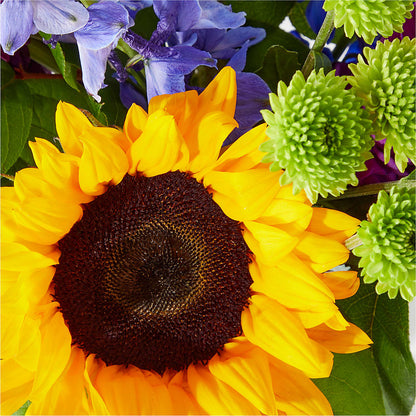 Catching Rays Bouquet – SCOTT'S FLOWERS, Amarillo TX