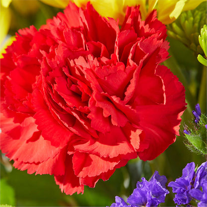 Brighter Days Bouquet – SCOTT'S FLOWERS, Amarillo TX