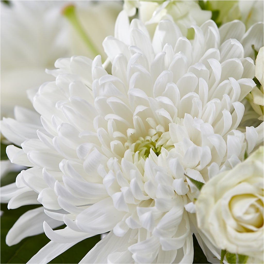 Classic Ivory – A Florist Original – SCOTT'S FLOWERS, Amarillo TX