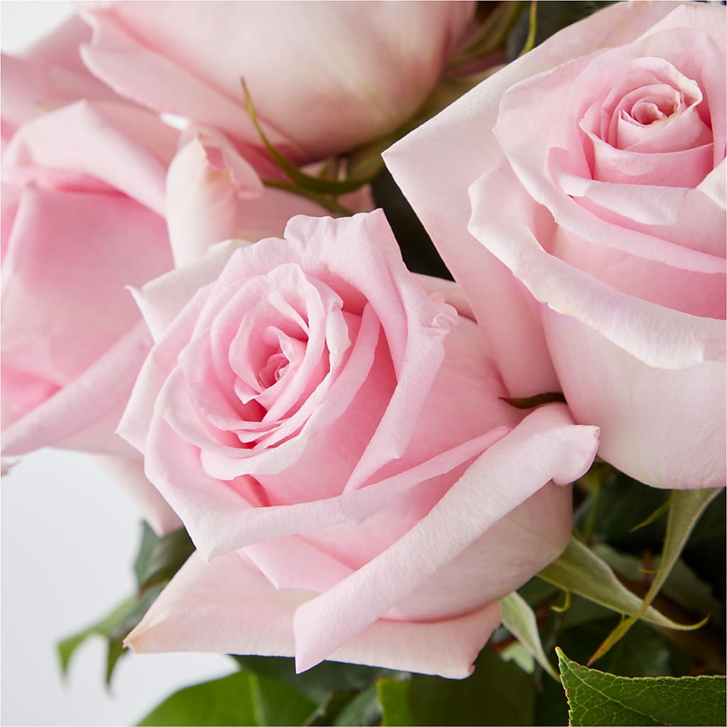 Picture Perfect Pink Rose Bouquet – SCOTT'S FLOWERS, Amarillo TX