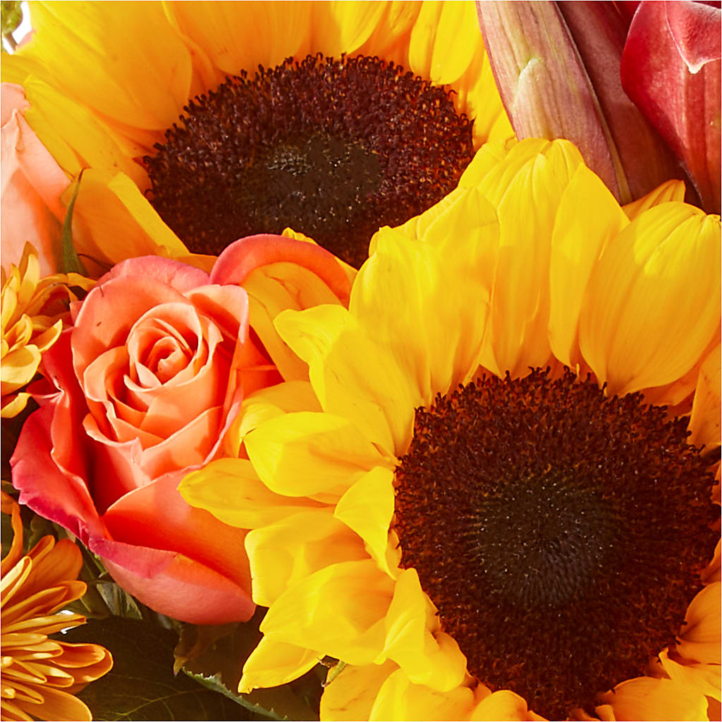Acorn Lane Bouquet – SCOTT'S FLOWERS, Amarillo TX