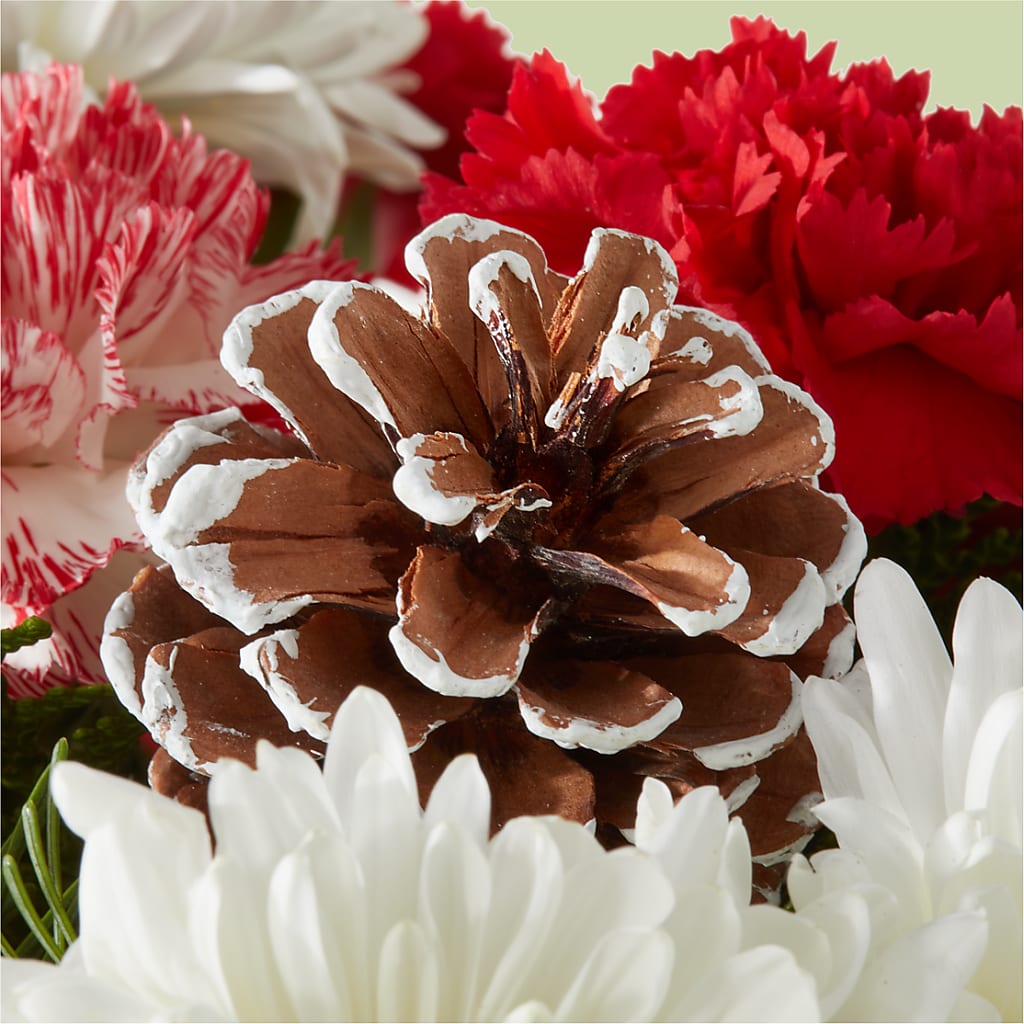 Candy Cane Lane Bouquet – SCOTT'S FLOWERS, Amarillo TX