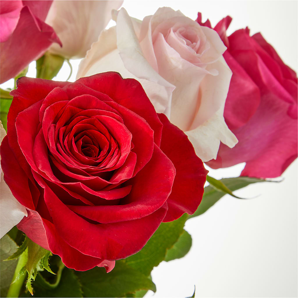 Charming Rose Bouquet – SCOTT'S FLOWERS, Amarillo TX