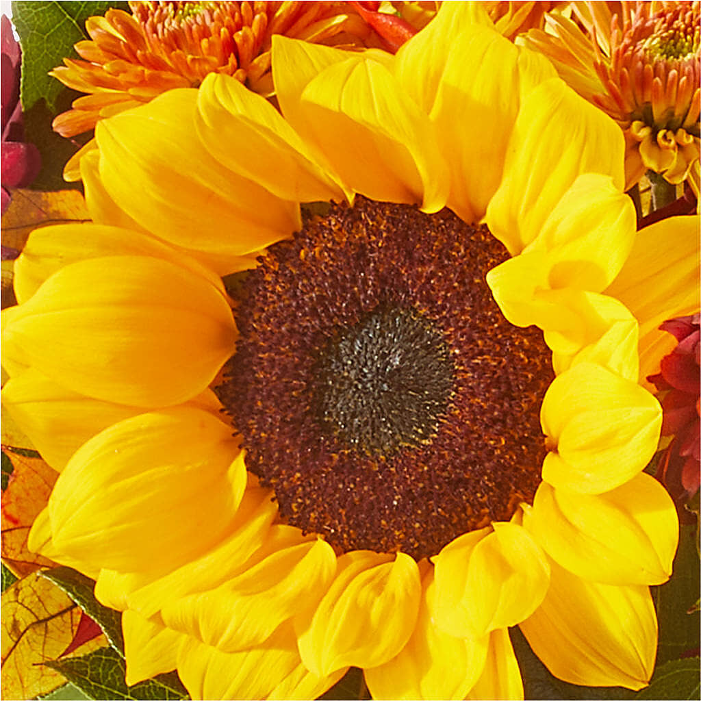 Sunny Side Bouquet – SCOTT'S FLOWERS, Amarillo TX