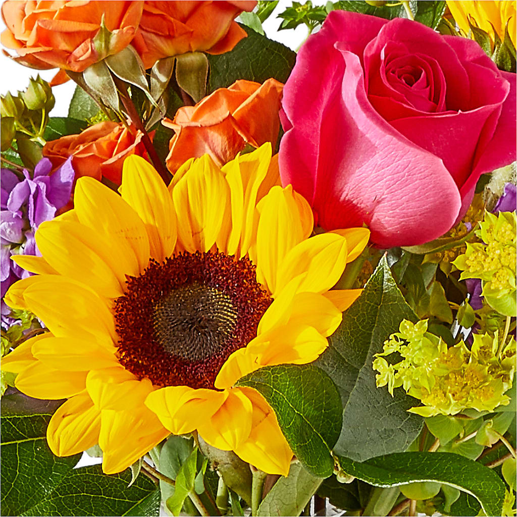 Vibrant Greetings Bouquet – SCOTT'S FLOWERS, Amarillo TX