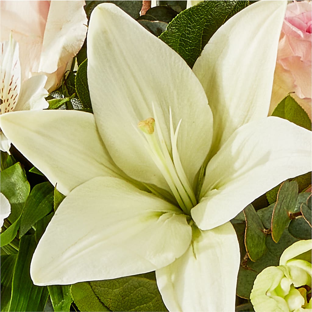 Ballet Slippers Bouquet – SCOTT'S FLOWERS, Amarillo TX