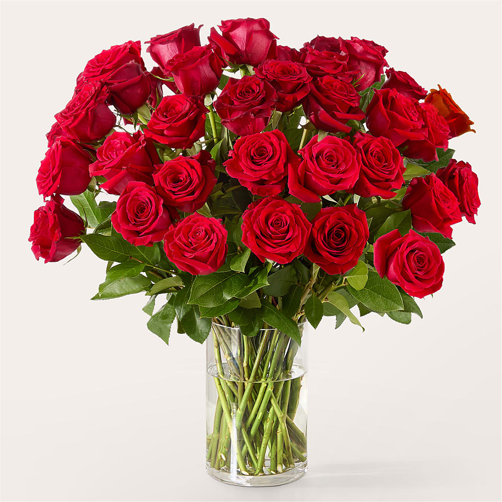 The One Red Rose Bouquet – SCOTT'S FLOWERS, Amarillo TX