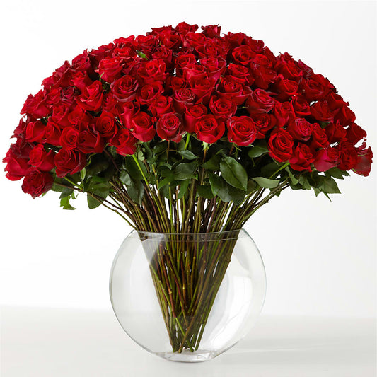 The Idealist – SCOTT'S FLOWERS, Amarillo TX