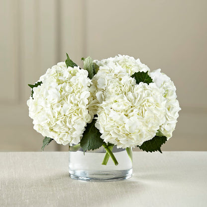 White Hydrangea Bouquet – SCOTT'S FLOWERS, Amarillo TX